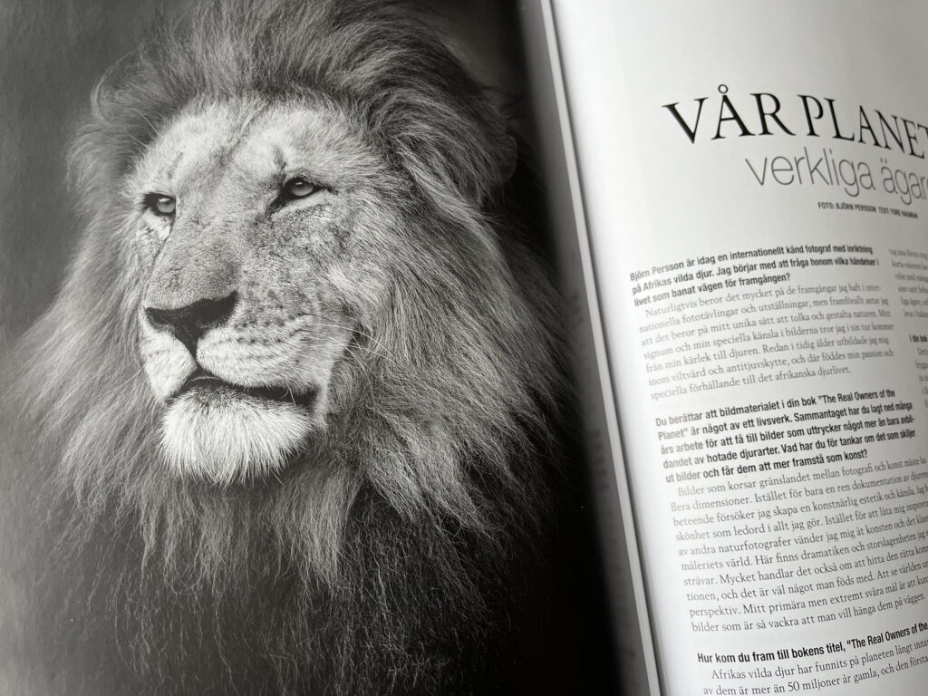 Björn Persson In magazine article