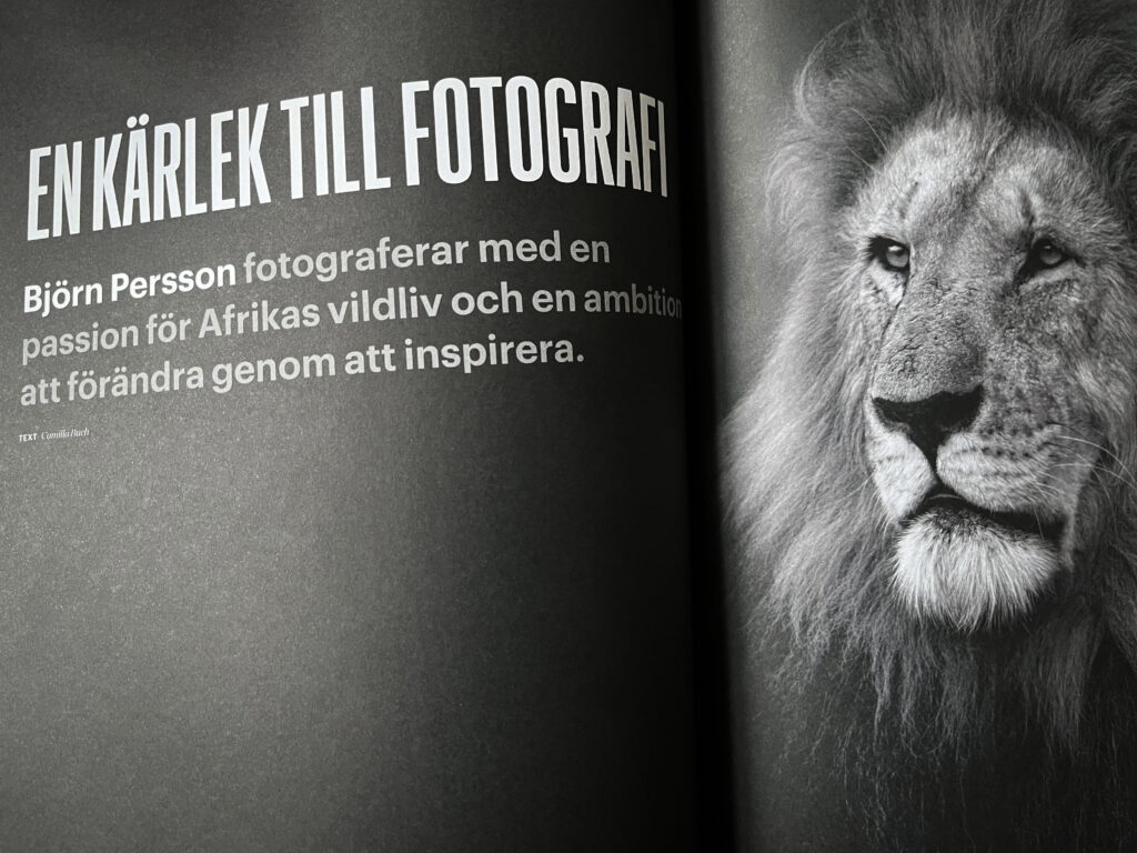 Björn Persson In magazine article