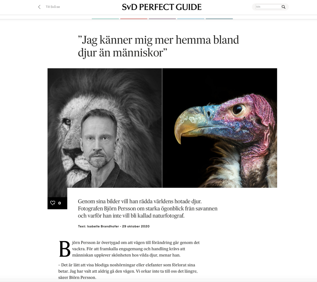 Björn Persson In SVD article