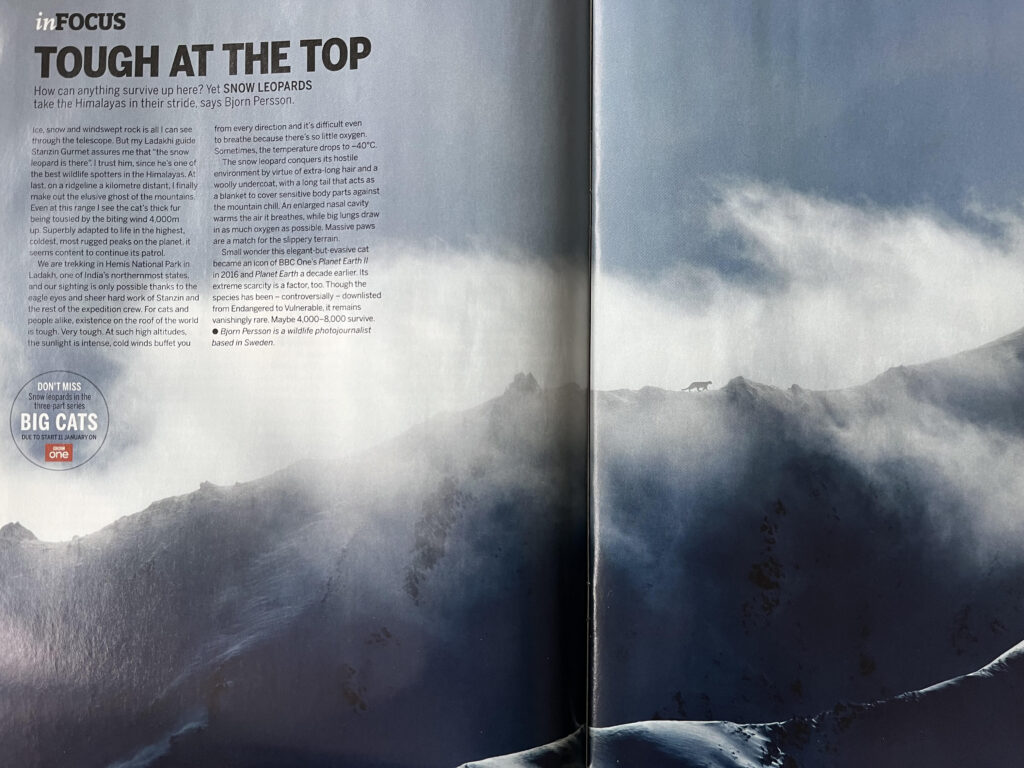 Björn Persson In magazine article