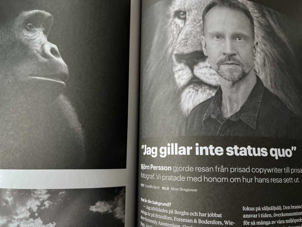 Björn Persson In magazine article