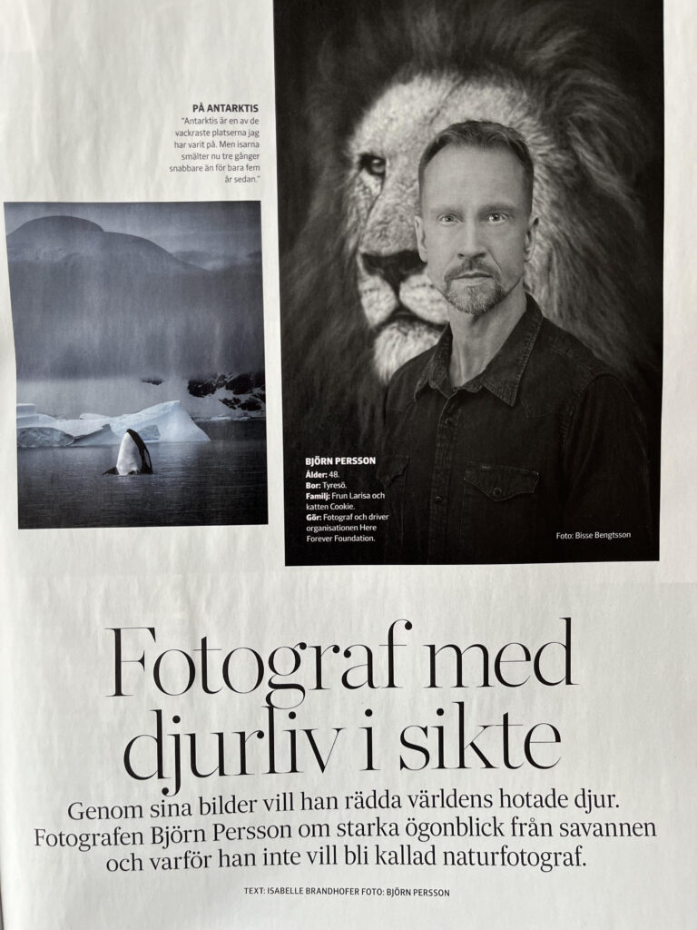 Björn Persson In magazine article